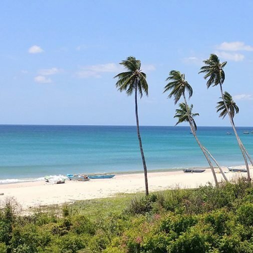 Voyage au Sri Lanka 1 e1753896017928