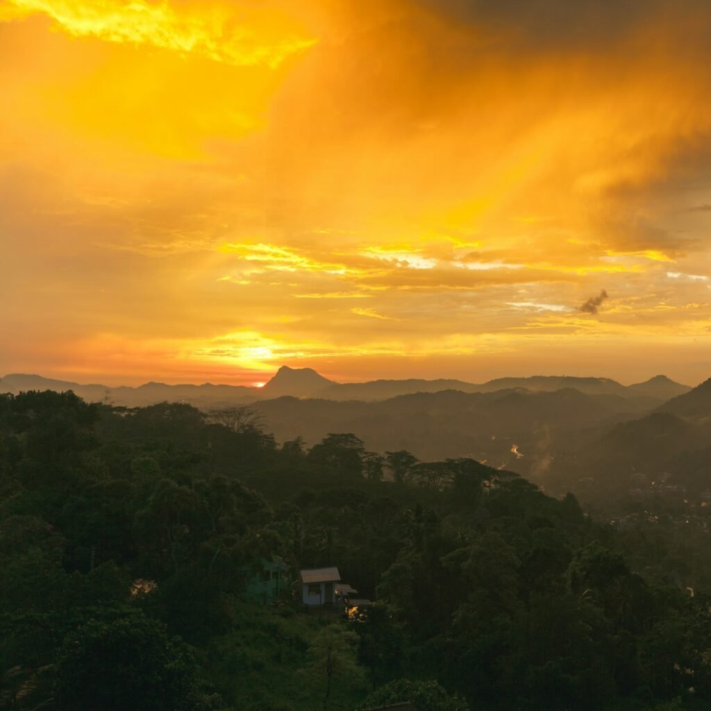 rowan heuvel _5P2O2FDKRY unsplash 1536x1024 1 e1753896307735