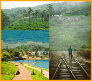 Voyage au Services 1