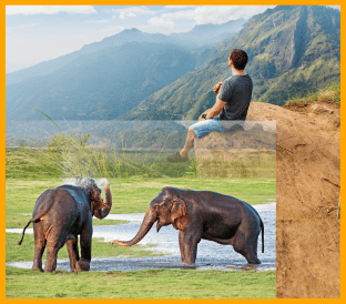 Voyage au Services 3